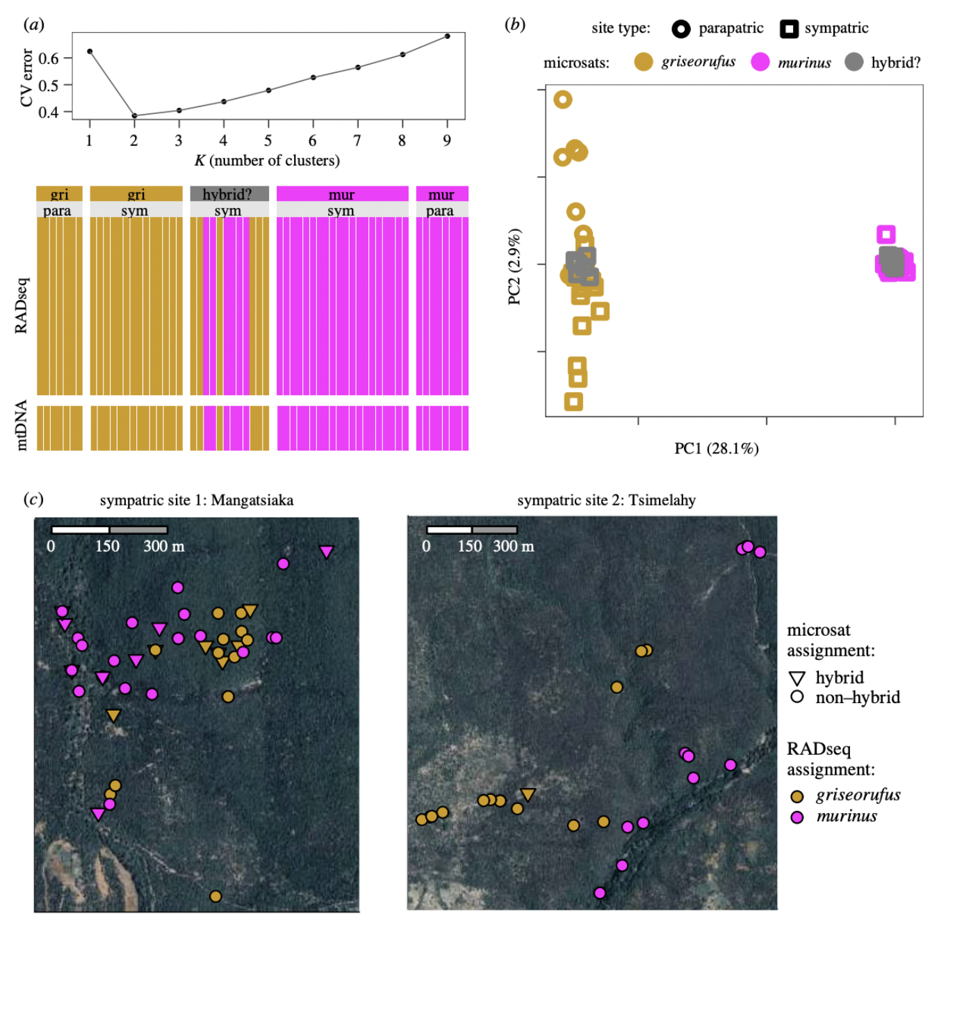 Poelstra_et_al_2022_