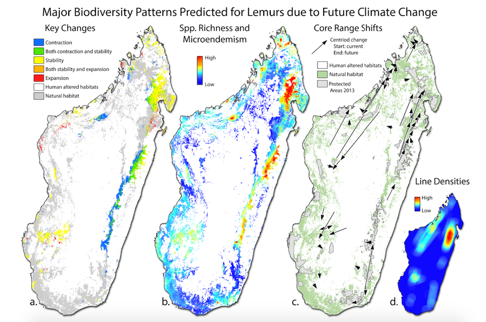 Effect of climate change on lemur distributions