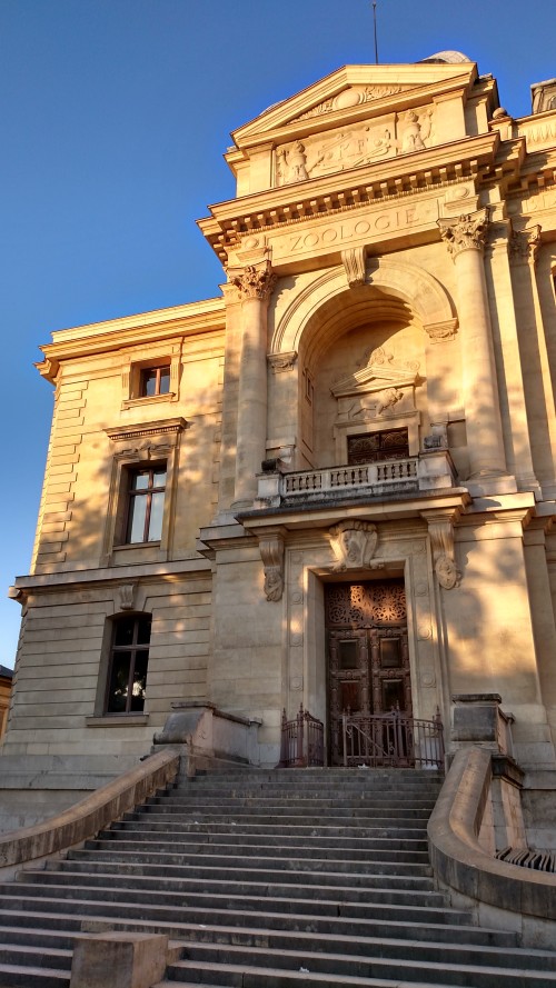 Grande Galerie de l'Évolution á le Muséum national d'Histoire naturelle et le Jardin de l'école de botanique