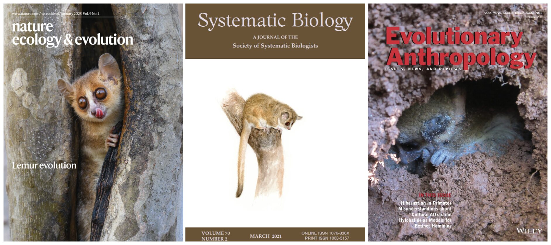 publications-image