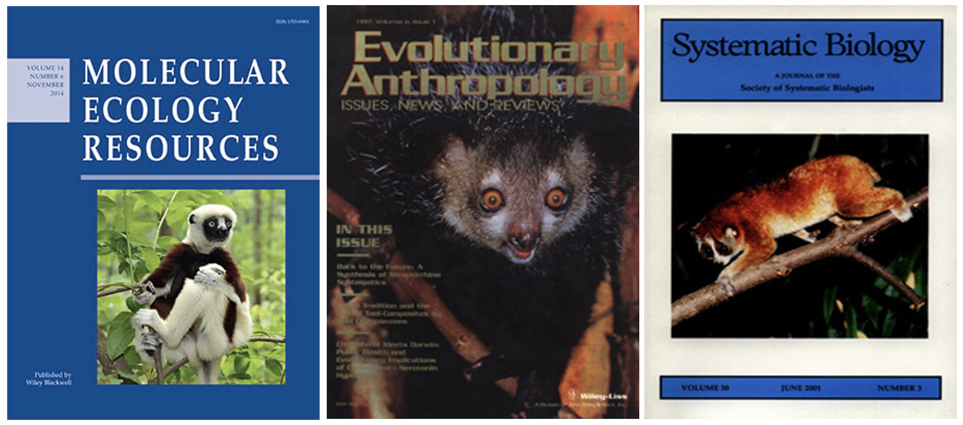 publications-image